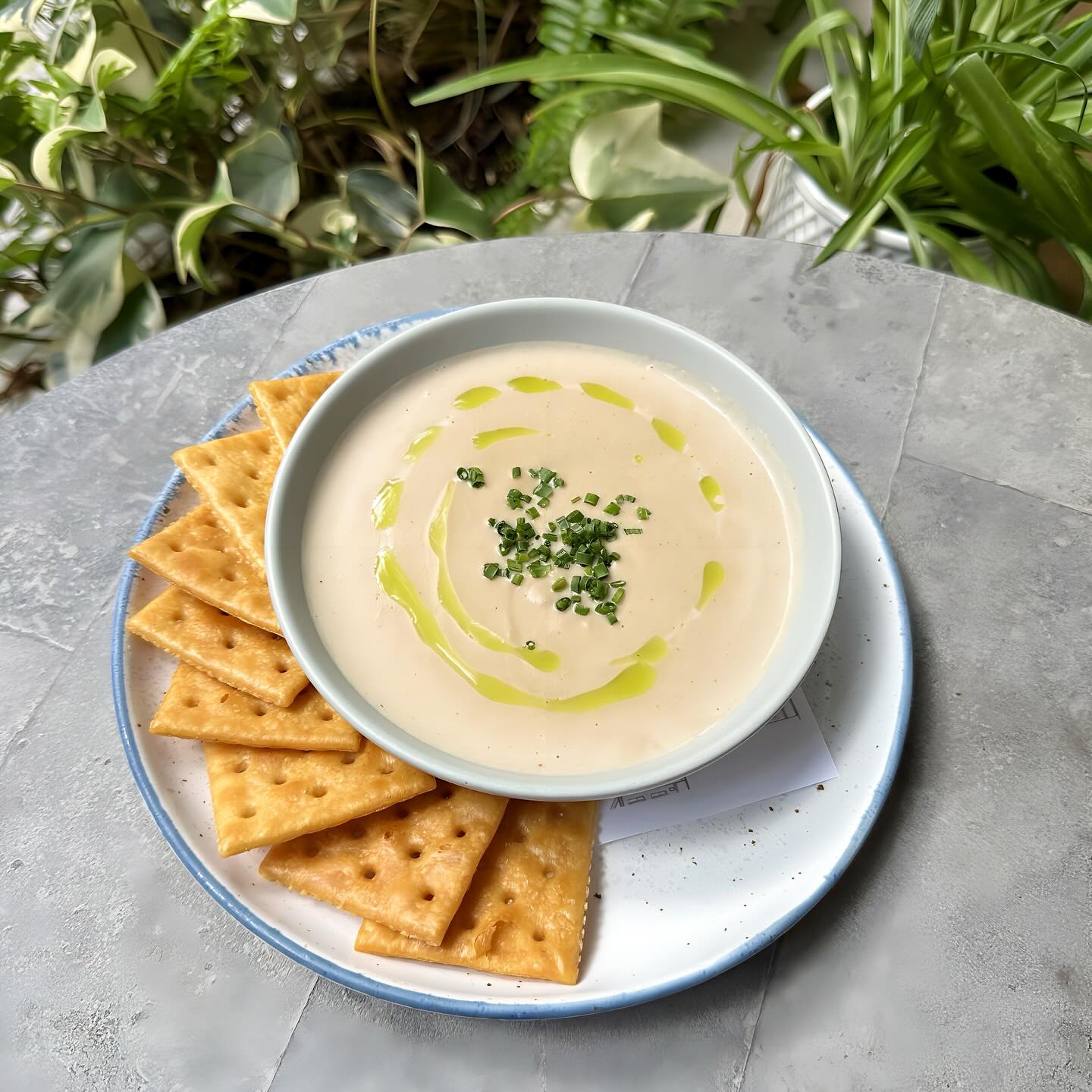 Photo by Delaney Oyster House in Delaney Oyster House with @bondcheyennebond. May be an image of crackers, soup, vegetable and text.